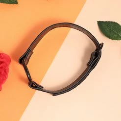 Honey Play Box Try Me Celebration Special Boutique Bundle