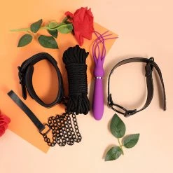 Play Box Sales 27 Honey Play Box Try Me Celebration Special Boutique Bundle