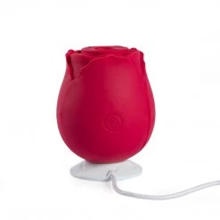 Honey Play Box Accessories Rose Toy Charging